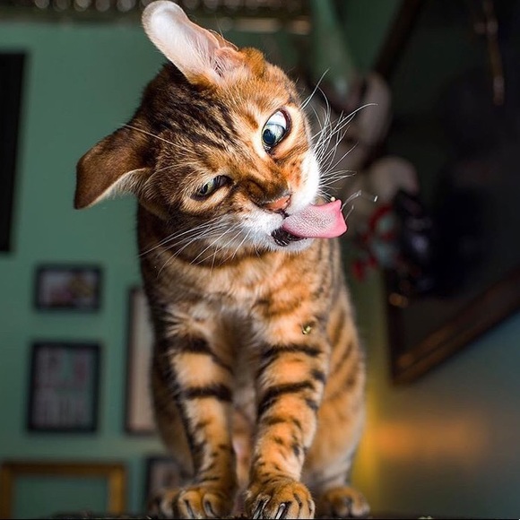 Meet your Posher, Teresa - Picture 14 of 16